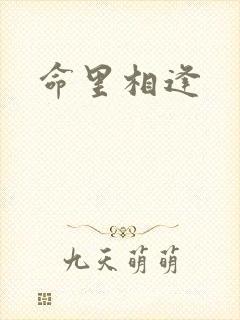 命里相逢