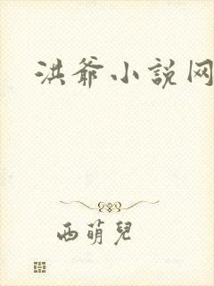洪爷小说网