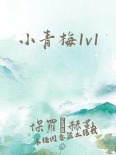 小青梅1v1