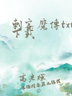 刺客魔传txt下载