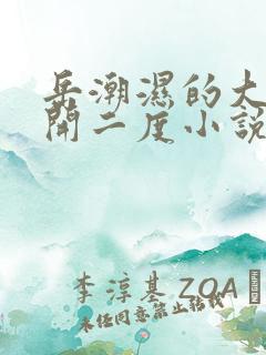 岳潮湿的大肥梅开二度小说