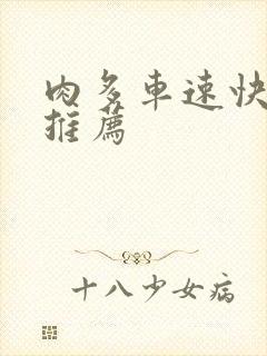 肉多车速快的书推荐