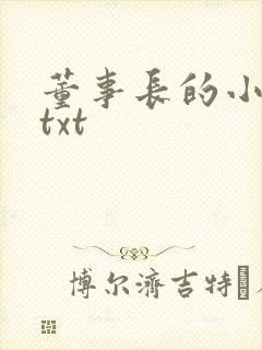 董事长的小王爷txt