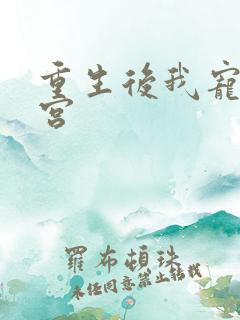 重生后我宠冠东宫