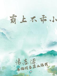 霸上不乖小逃妻