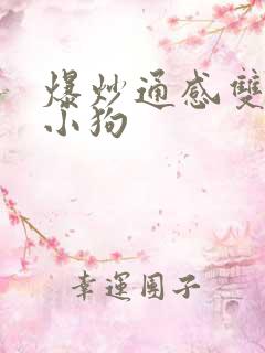 爆炒通感双胞胎小狗