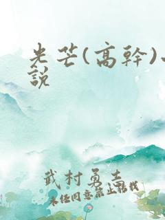 光芒(高干)小说