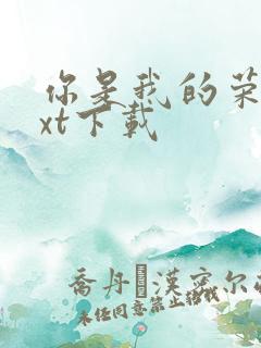 你是我的荣耀txt下载