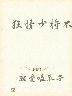 狂情少将不良妻