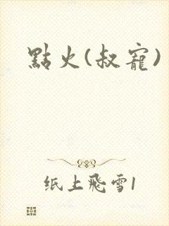 点火(叔宠)