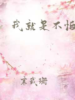 我就是不怕小说