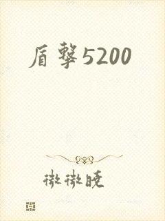 盾击5200