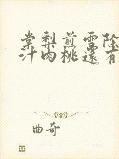 棠梨煎雪除了蜜汁肉桃还有什么肉