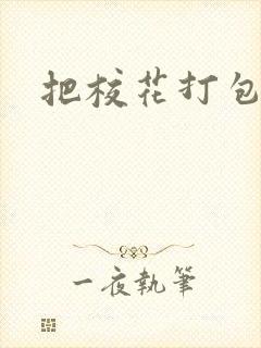 把校花打包带走