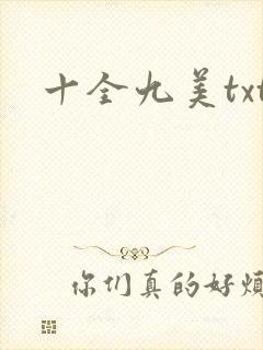 十全九美txt