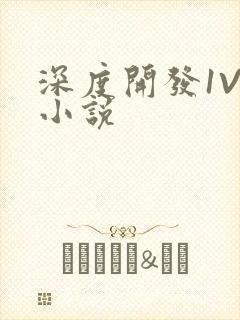 深度开发1V3小说