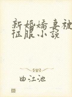 新婚娇妻被巨茎征服小说