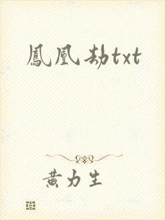 凤凰劫txt