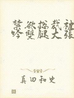 禁欲总裁被C呻吟双腿大张