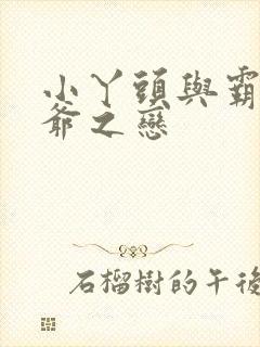 小丫头与霸道少爷之恋