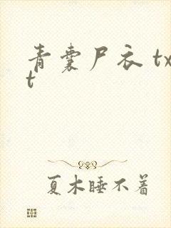 青囊尸衣 txt