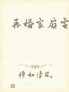 再婚家庭电视剧
