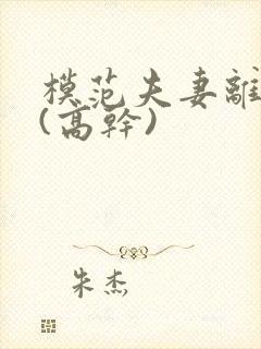 模范夫妻离婚了(高干)