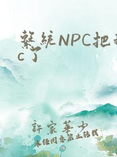 系统NPC把我c了