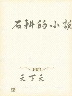 石耕的小说