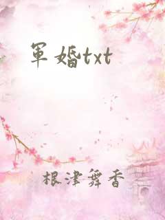 军婚txt