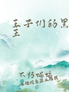 王子们的黑道公主