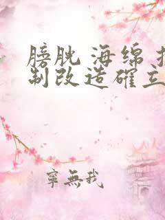 膀胱 海绵 控制改造确立m