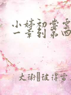 小婷初尝云雨第一章到第四章