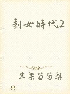 剩女时代2