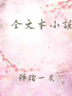 全文本小说