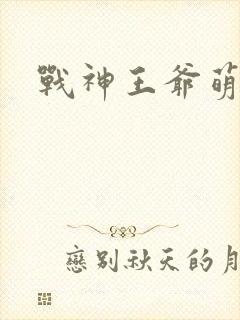 战神王爷萌虎妃