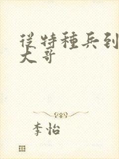 从特种兵到黑道大哥