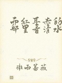 面红耳赤的小说哪里看清水村花