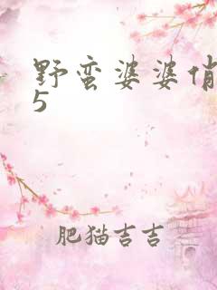 野蛮婆婆俏媳妇5