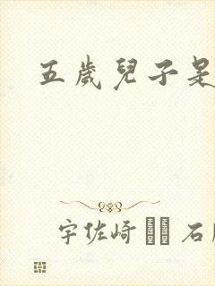 五岁儿子是相公