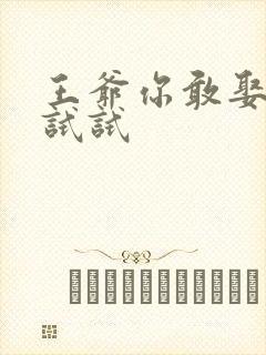 王爷你敢娶小三试试