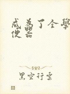 成为了全学校坐便器