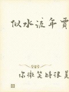 似水流年贾二虎