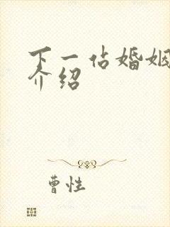 下一站婚姻剧情介绍