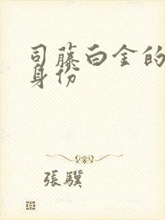 司藤白金的真实身份