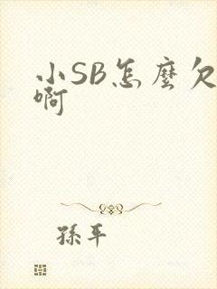 小SB怎么欠C啊