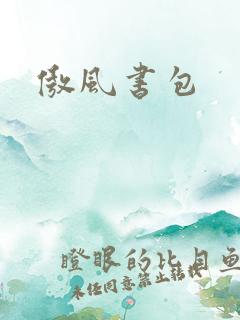 傲风书包