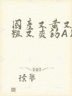 国产又黄又猛又粗又爽的A片小说