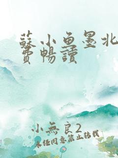 苏小鱼墨北枭免费畅读