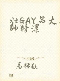 壮GAY吊大人帅精浓